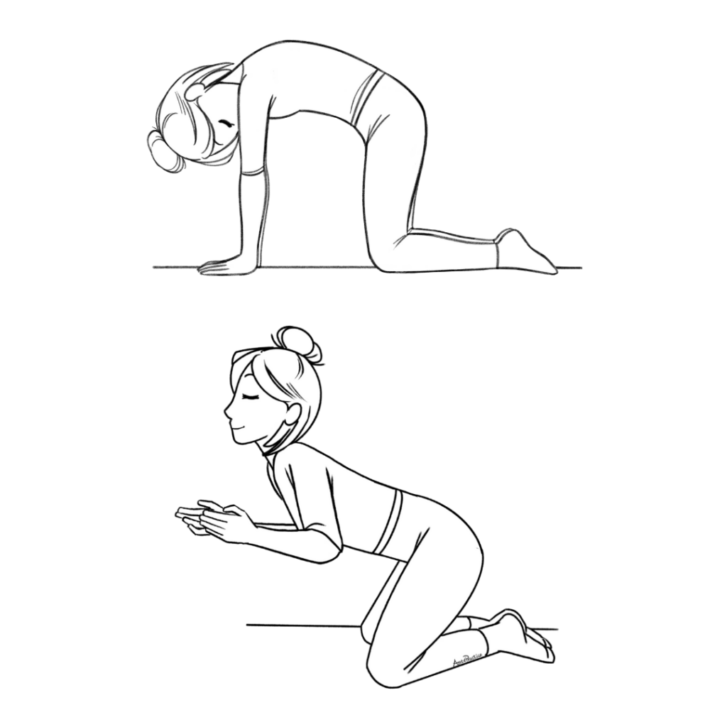 Illustration of Helen doing cat-cow pose, hands and knees in cat-cow (Marjariasana-Bitilasana).